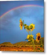 Sunflower And Rainbows Metal Print