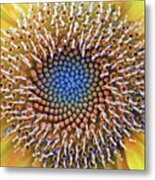 Sunflower Jewels Metal Print