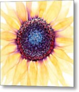 Sunflower Of Peace No.4 Metal Print