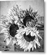 Sunflowers And Crate 1 Metal Print