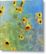 Sunflowers Color Burst Metal Print