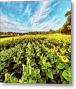 Sunflowers Metal Print