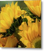 Sunflowers Metal Print