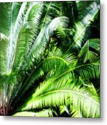 Sunlit Palms -4 Metal Print