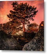 Sunrise Light On Sunset Mt., Gloucester Ma. Metal Print