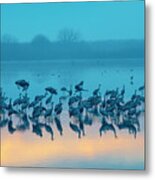 Sunrise Over The Hula Valley 5 Metal Print