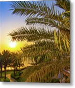 Sunset And Palm Tree Metal Print