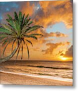 Sunset Beach Palm Metal Print
