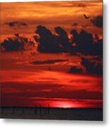 Sunset Flight Of The Osprey Metal Print
