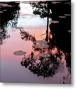Sunset On A Florida Pond Metal Print