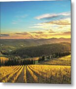 Sunset Over The Vineyards Of Radda In Chianti Metal Print