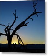 Sunset Silhouette Metal Print