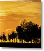 Sunset Sky And Silhouette Of Trees Metal Print