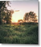 Sunset Through The Grassy Meadows Metal Print