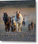 Sunset Water Call Metal Print