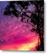 Sunset With A Tree Metal Print