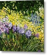 Sunshine Blossoms Metal Print