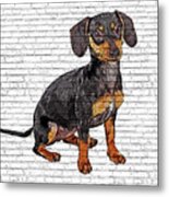 Super Cute Dachshund Puppy - Brick Block Background Metal Print