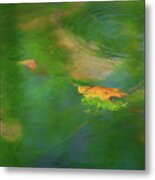 Surface And Symbol - Nature Abstract Metal Print