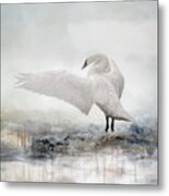 White Swan Metal Print