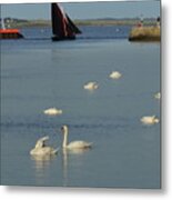 Swan's And Galway Hooker Boat Metal Print