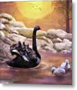 Swans Swimming At Sunset Metal Print