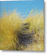 Sweeping, Golden And Bright Metal Print