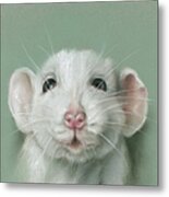 Sweet Faced White Rat Portrait Metal Print