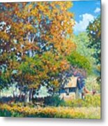 Sycamore With Tallow - Legacy Collection Metal Print