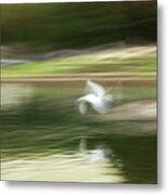 Taking Flight Metal Print