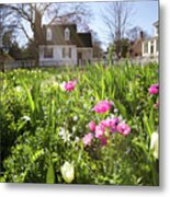 Taliaferro-cole Garden In March Metal Print