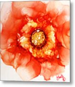 Tangerine Wild Rose Metal Print