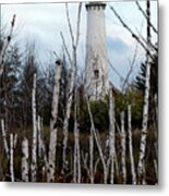 Tawas Point Lighthouse And Birch Trees Metal Print