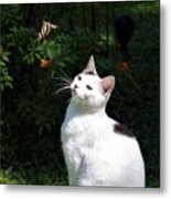 Tazz And Butterfly Metal Print
