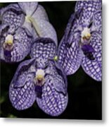 Textured Orchid Flowers 2 Metal Print