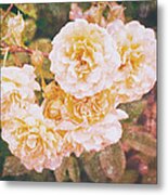 Textured Roses Metal Print