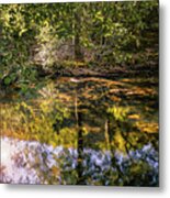 Textured Tree In The Pond Metal Print