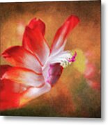 Thanksgiving Cactus Flower Metal Print