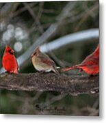 The College Of Cardinals Metal Print