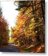 The Color Of Finger Lakes Roads Metal Print