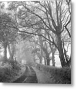 The Dark Misty Hedges Metal Print