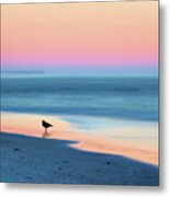 The Day Begins Metal Print