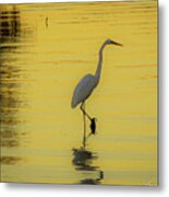 The Egret Metal Print