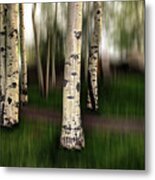 The Eyes Of Aspen Are Upon Us Metal Print
