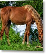 The Farm Horse Metal Print