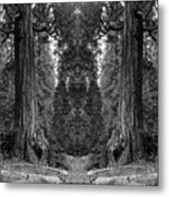 The Forest Of The Universe #1 Metal Print