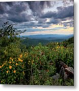 The Forever View - Queen Wilhelmina State Park Metal Print