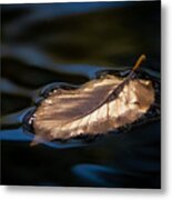 The Gold Effect Metal Print