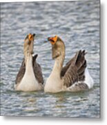 The Goose And The Gander Metal Print