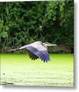 The Heron And Dragonfly Metal Print